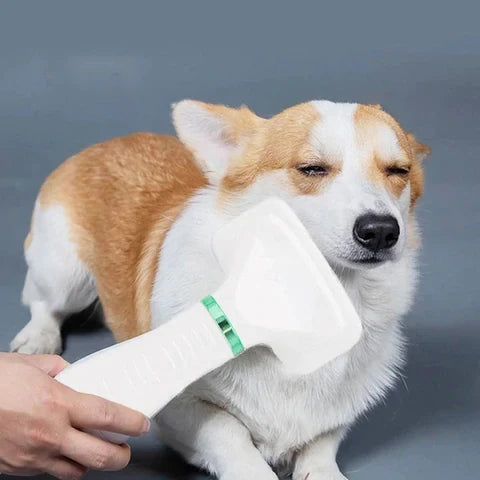 PEINE SECADOR PARA MASCOTAS 2 EN 1
